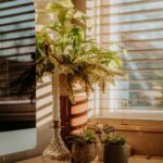 resized_41_api